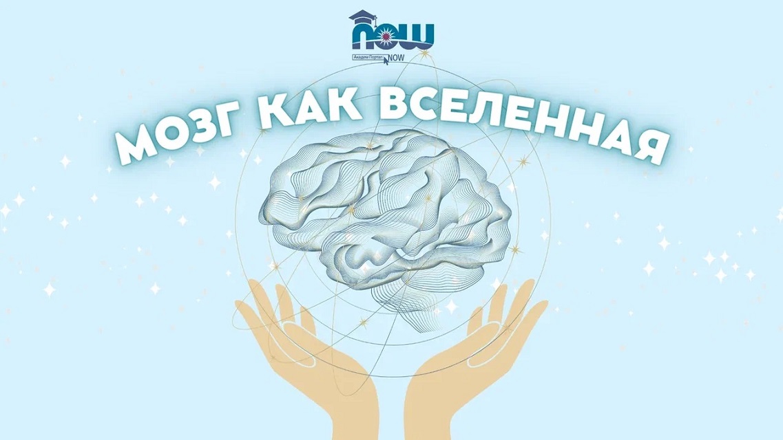 Мозг как вселенная