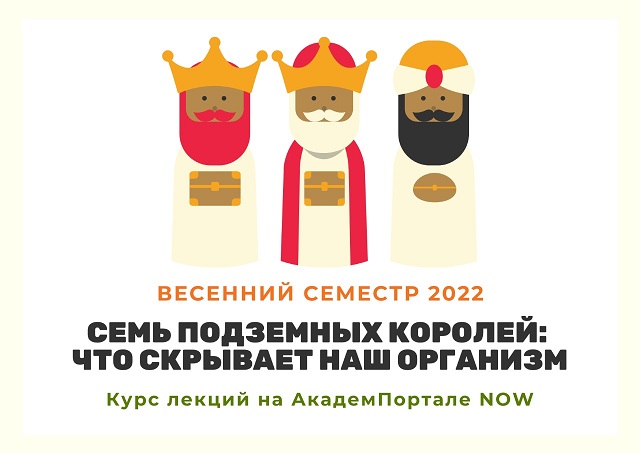 Семь подземных королей: что скрывает наш организм